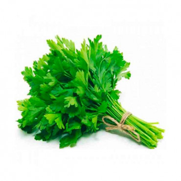 Coriander Leaves Bunch