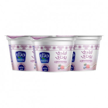 Nadec Greek Yogurt Mix Berry 160gm 2 + 1 Free