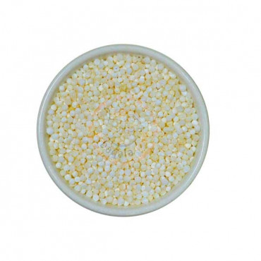 Sago Seed Big 100gm