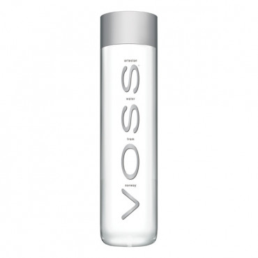 Voss Artesian Water 500ml